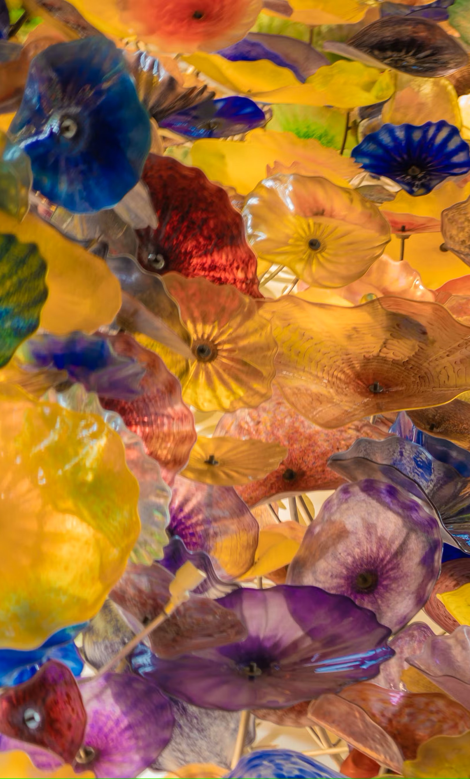 Colorful Glass Flowers